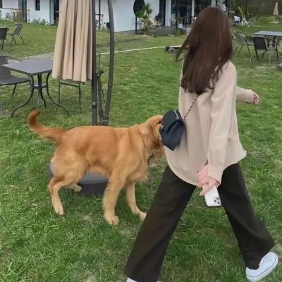 森林之北封面